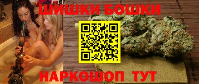молекула духа Заводоуковск