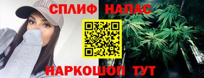 молекула духа Заводоуковск