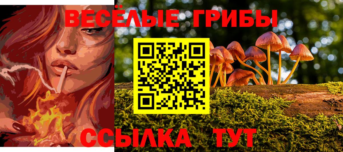Галлюциногенные грибы Cubensis Шадринск