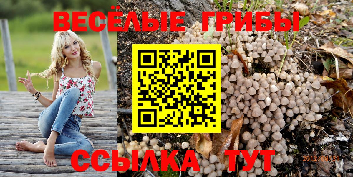 Галлюциногенные грибы Cubensis  Вход с VPN  сколько стоит  Шадринск 